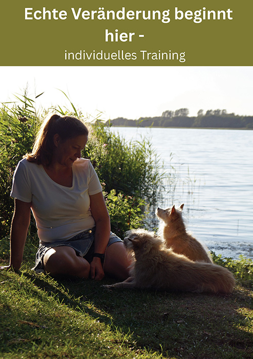 Echte Veränderung beginnt hier. Individuelles Training.